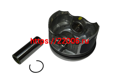 Поршень HLX 150 (N5020450)