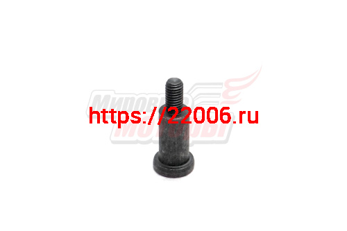 Болт направляющей цепи ISF 2.8 (5255271) Болт направляющей цепи ISF 2.8 (5255271)